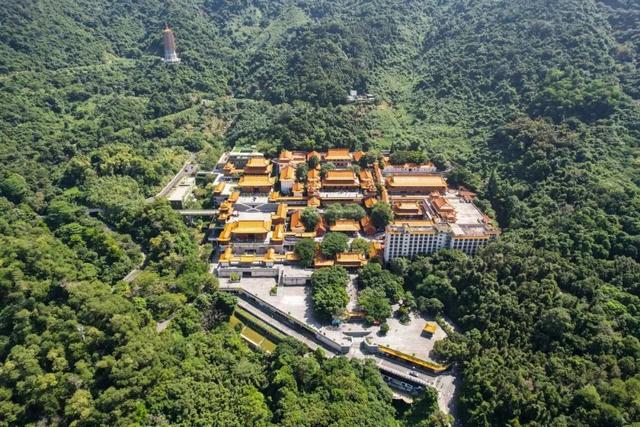 莲塘，梧桐山下的神仙风景