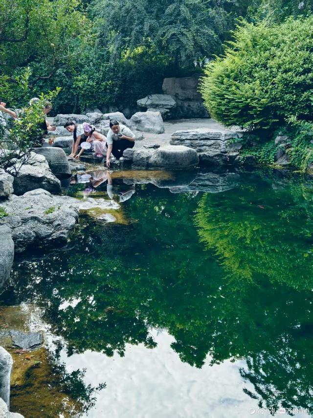 炎热的夏天，趵突泉给您带来一丝凉意