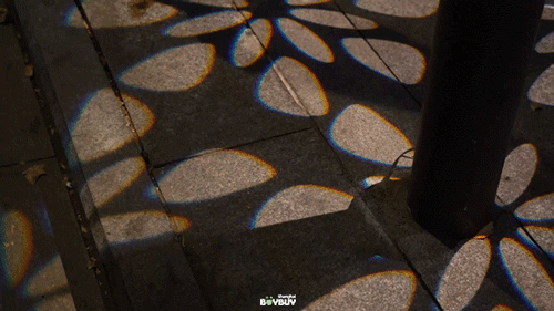 “今年元旦！我来静安只做1件事 ”