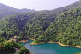 绿水青山“瞰”中国｜探访鼎湖山，看生物多样性保护的“中国样本”图片