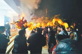 记者回乡记·江西 | 双湖春影回来了图片