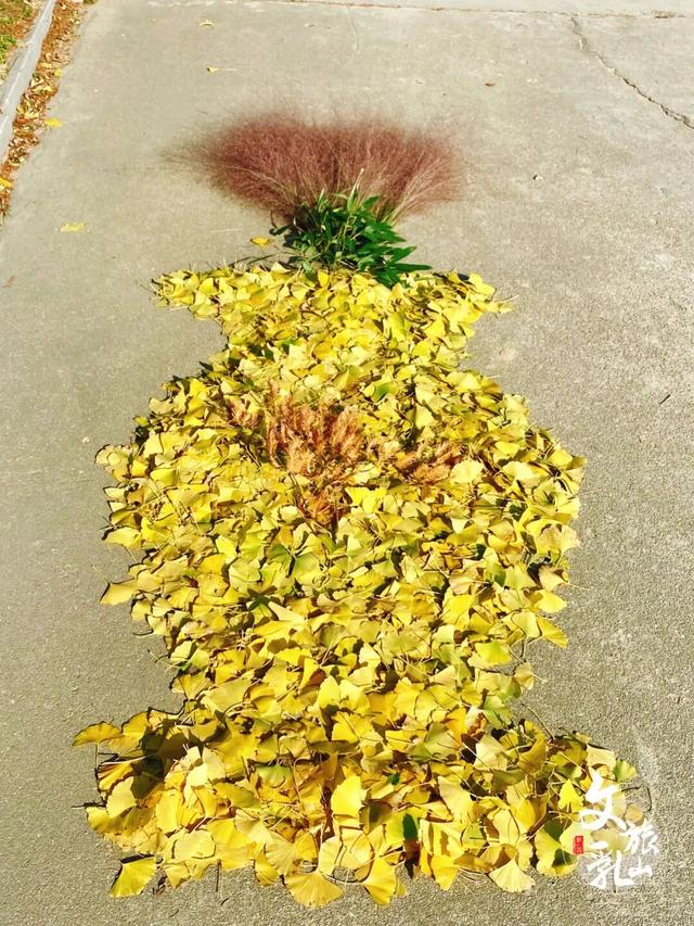 多福山限定！马上出发，奔赴一场绚烂~