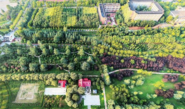 洛阳雨后城市氧吧美如画 孟津绿化工程织就生态锦