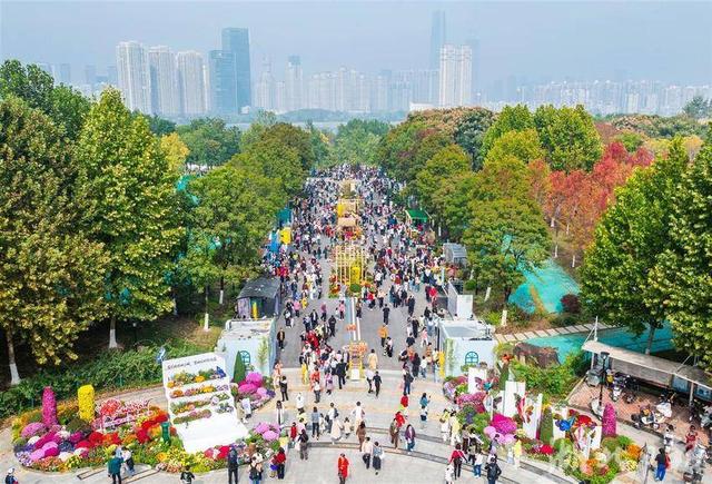 现场火爆！武汉今秋最大花展开幕