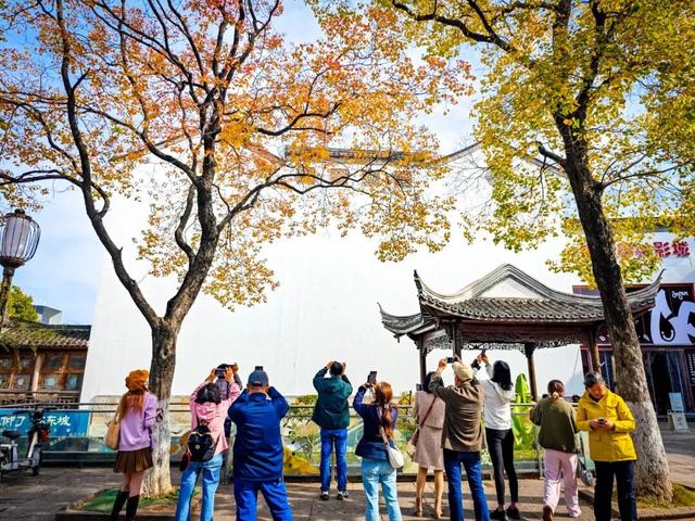 南京这棵树，刷屏了