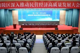 多管齐下 涪陵全力推动民营经济高质量发展图片
