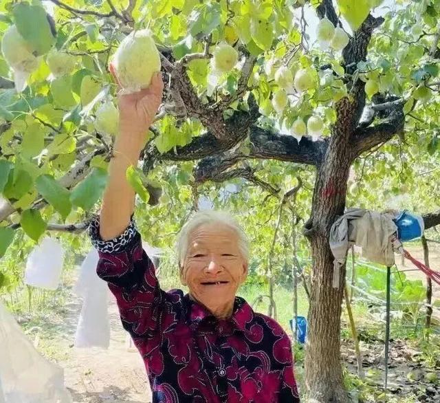 十一来商河，七彩文旅线路总有一条适合你