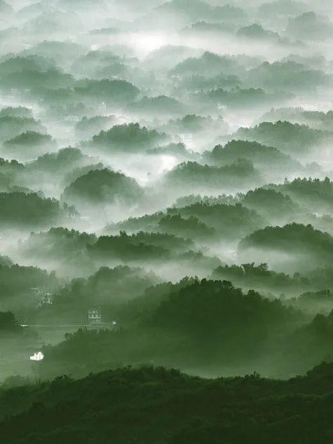谁说四川没有海？