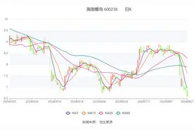 海南椰岛：2024年上半年盈利462.83万元 同比扭亏图片