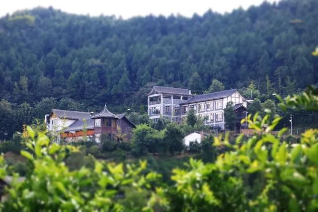 看川超，过双节，西充赏景品鲜两不误！