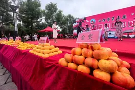卫辉“桃王”再“争霸”！柳毅农场时隔三年再夺金奖图片