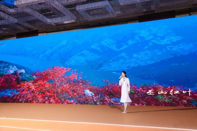 深化鲁渝两地文旅合作，2025巴蜀文化旅游走廊营销推介活动走进济南