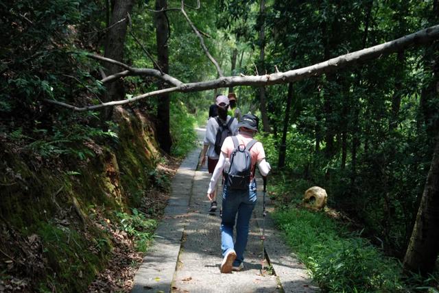 长株潭城际漫游｜昭山徒步，见到了不一样的“山市晴岚”！