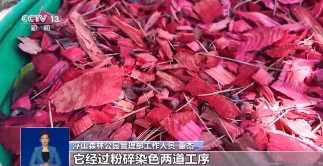 央视关注青岛：落叶“艺术变身”成公园景观和设施