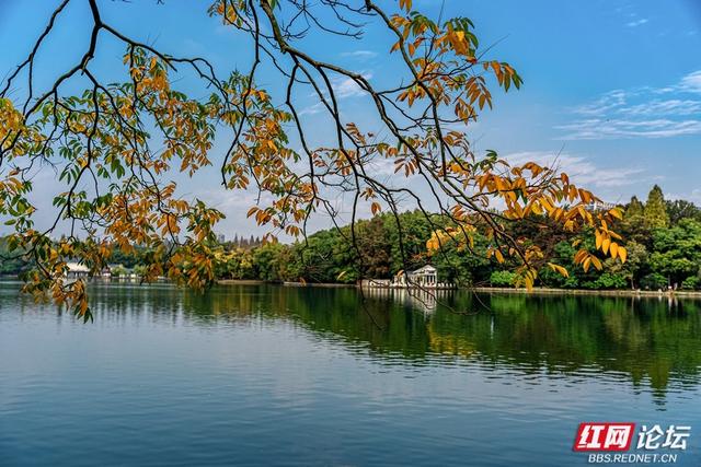 岁暖时刻丨暖冬长沙图鉴：烈士公园，藏不住的诗意光景