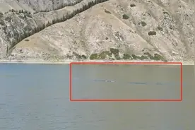 湖里出现“15米长银色水怪”？知名景区回应图片