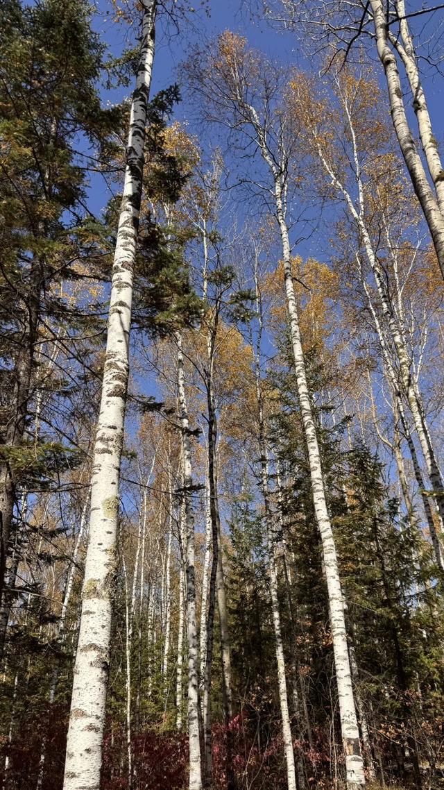 假期闲记（二）