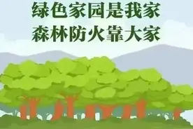 应急科普丨这份森林防火攻略，请收好！图片