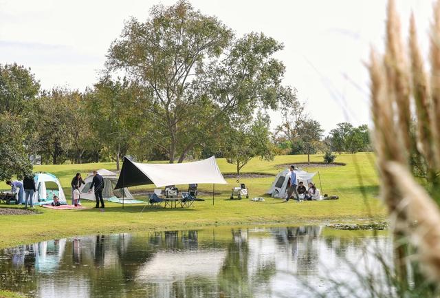 快收藏！辰山植物园红黄橙交织的秋日画卷