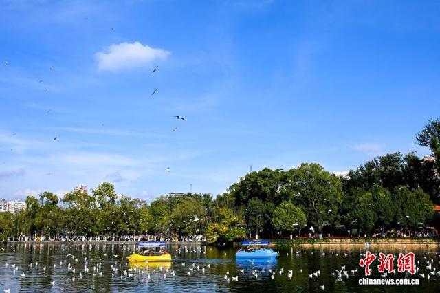 立冬节气 昆明天气晴好暖如春