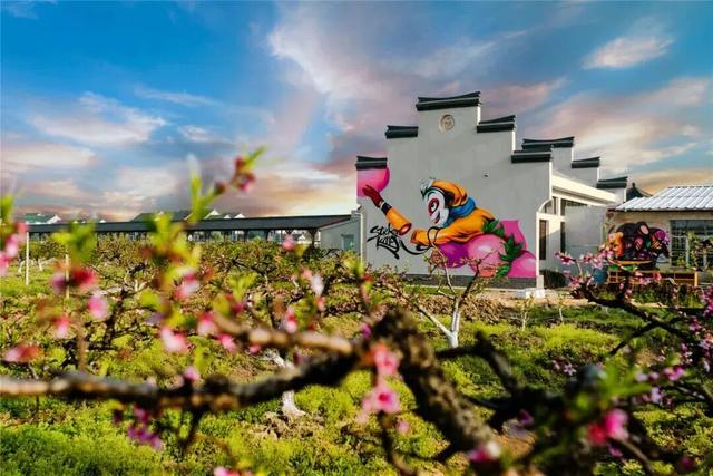 快来“薅羊毛”！金山这些景点限时免费