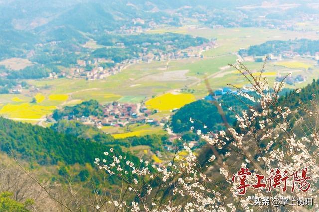 探寻南岳72峰丨紫盖峰：南岳第二峰的千年“不朝”风骨