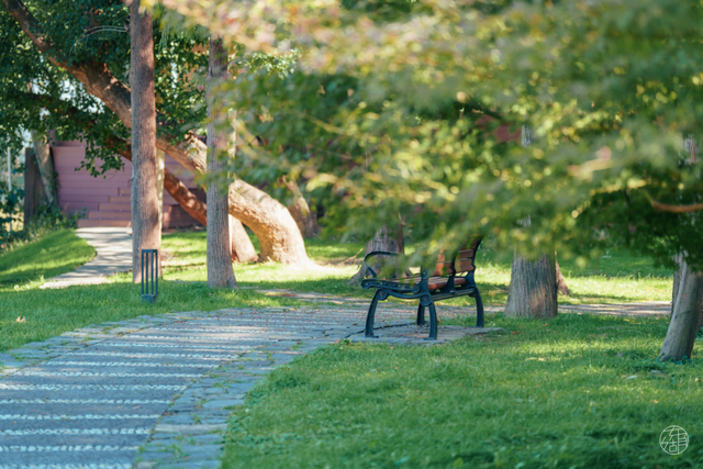 人少景美不绕路，东湖秋日彩蛋上新