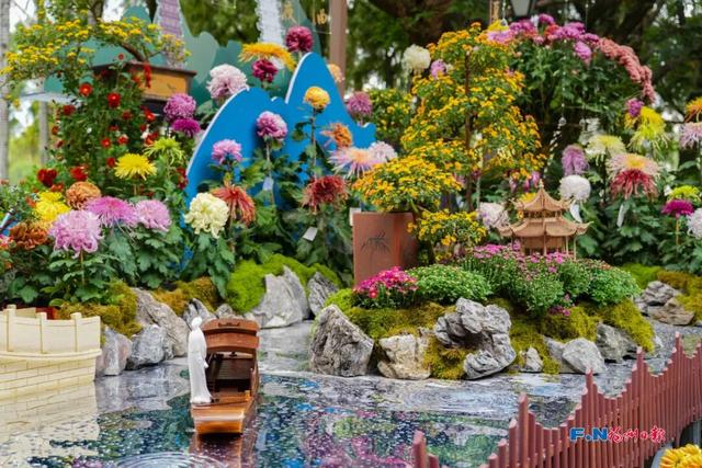 这场秋菊盛会，描绘着福建的千年风雅