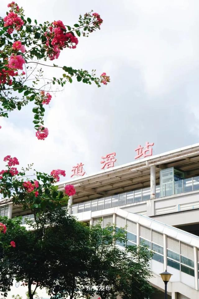 东莞地铁人气爆棚！下周来这个镇徒步、赏景、领福利！