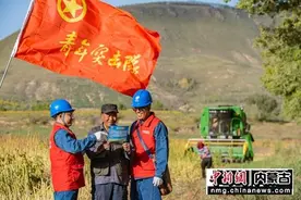 赤峰松山区：秋粮丰收 电力满满图片