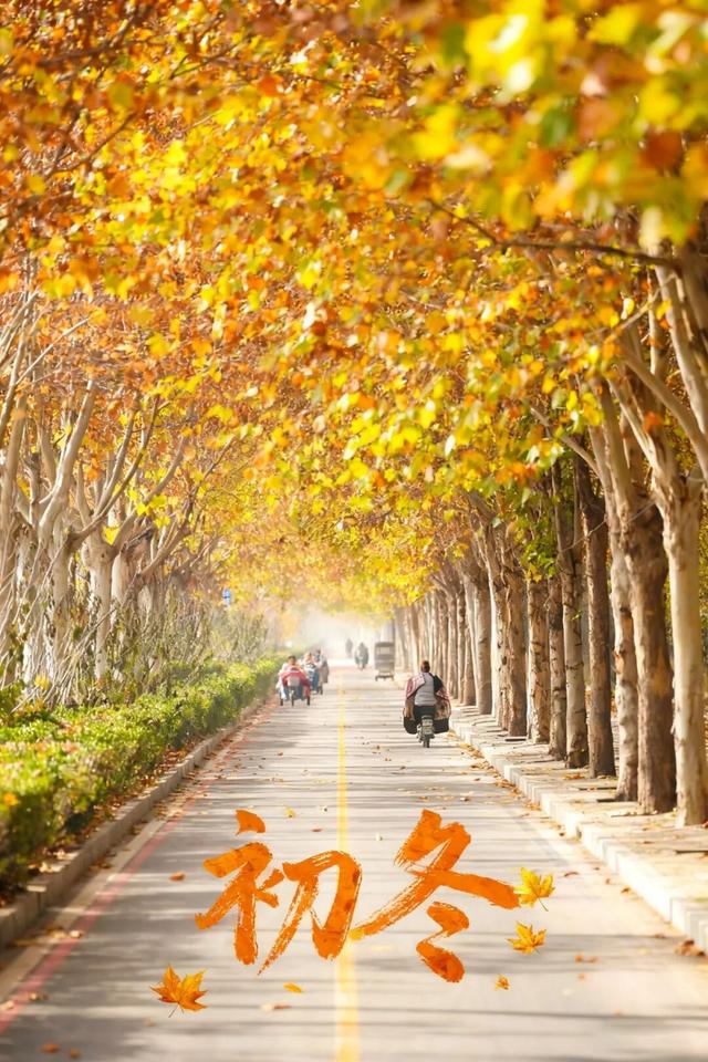 邯郸冀南新区丨初冬美景入画来~