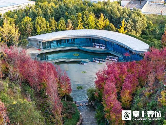 石林天外天第二届红枫节启幕：赏枫拍片赢大奖，秋日枫景邀您打卡