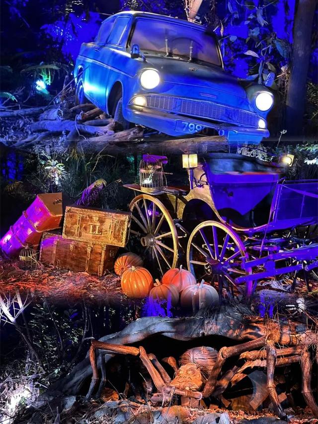 送票！每人两张