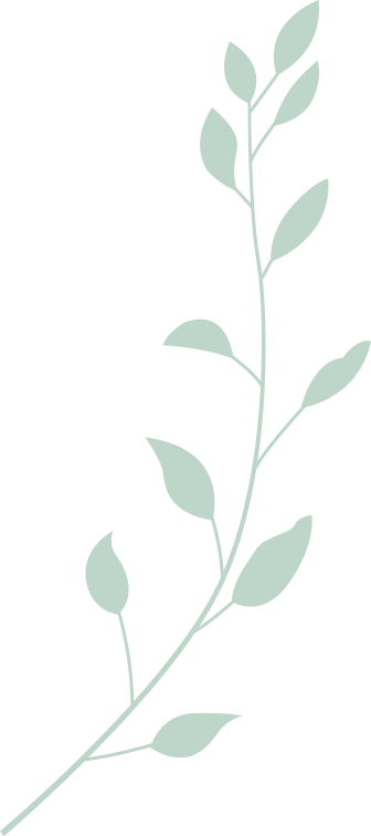 走进衢江 | 循气象之钥 解码冬日江南奇境与千年文脉