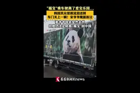 送别“福宝” 宋爷爷贴车泪奔 民众雨中哭成一片图片