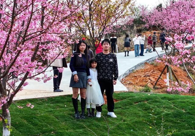 太浪漫了！安溪这里樱花开啦！