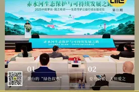 从茅台“绿色叙事”透视当代“品牌叙事”的新逻辑图片
