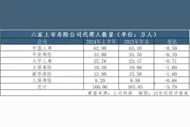 上市险企半年报观察③｜上半年“纳新”与“清虚”同步，但个险代理人的挑战远未结束图片