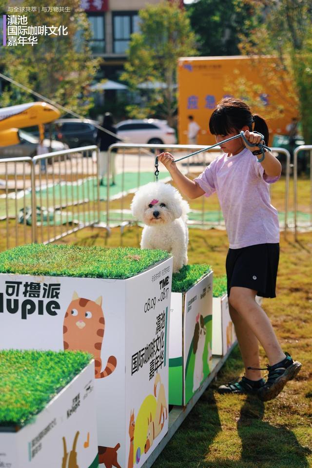 东岸好享，西岸好玩！“西岸十二时辰”盛大启幕