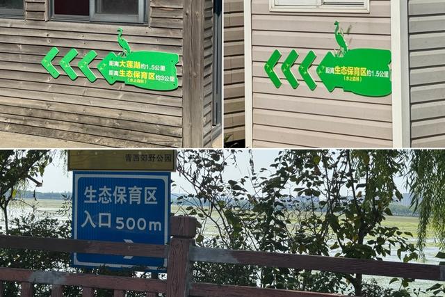 追踪：上海青西郊野公园24小时内可免费停车，下调观光车费用，无限次乘坐