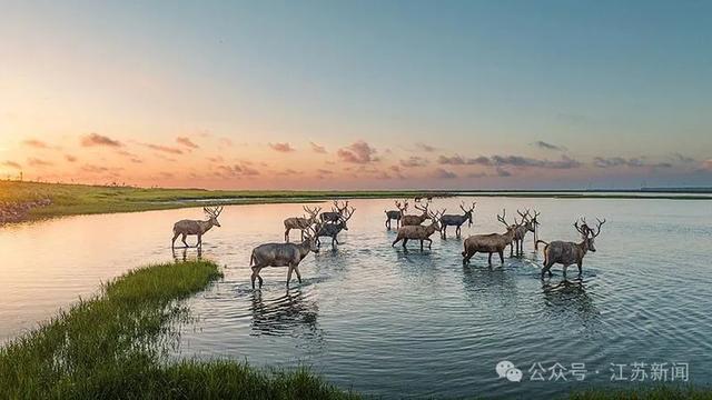 “苏超”是文旅项目实锤了