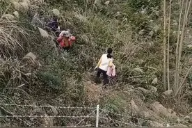 广西5岁女孩走失46小时！上百人参与搜救，找到她了！图片