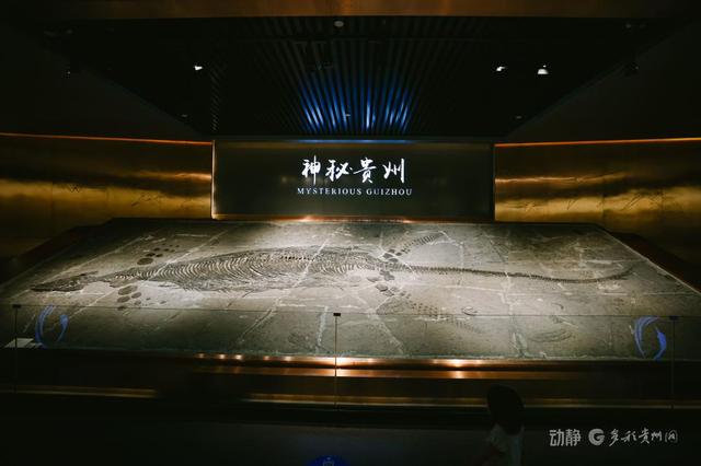 动静影像｜贵州省地质博物馆人气旺，暑期亲子游成主流