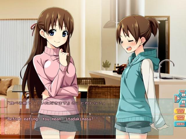 成人游戏哪些人气高 十大经典成人游戏精选