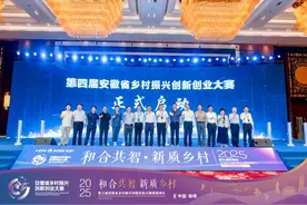 合肥城市学院师生在第三届安徽省乡村振兴创新创业大赛中取得优异成绩图片