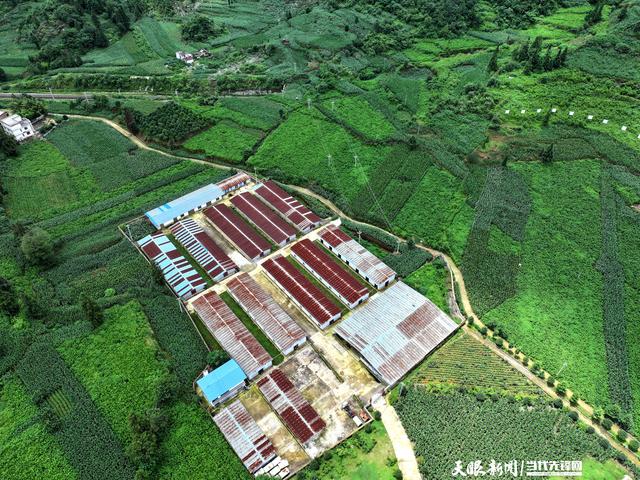 【乡愁印迹·村史村事】白马村：丝线绘就锦绣画卷