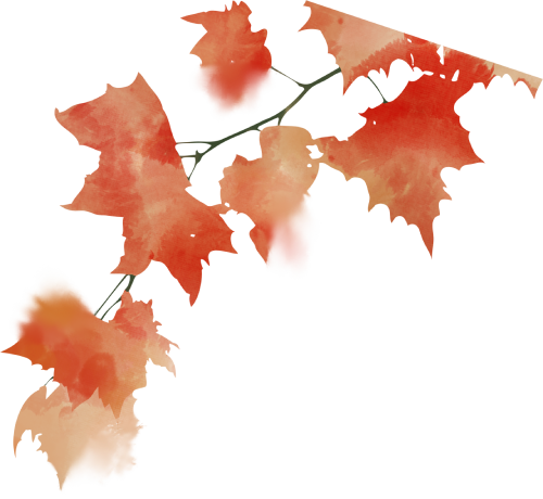 周六冲栖霞山！赏红叶+听昆曲，秋日浪漫加倍~