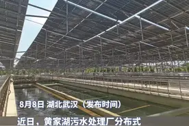 黄家湖污水处理厂光伏发电项目并网发电，所发电能大部分就地消纳图片