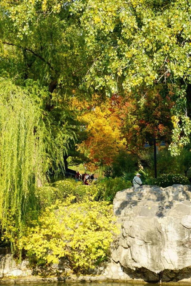 海淀这个免费公园，“藏”着秋天的所有颜色——