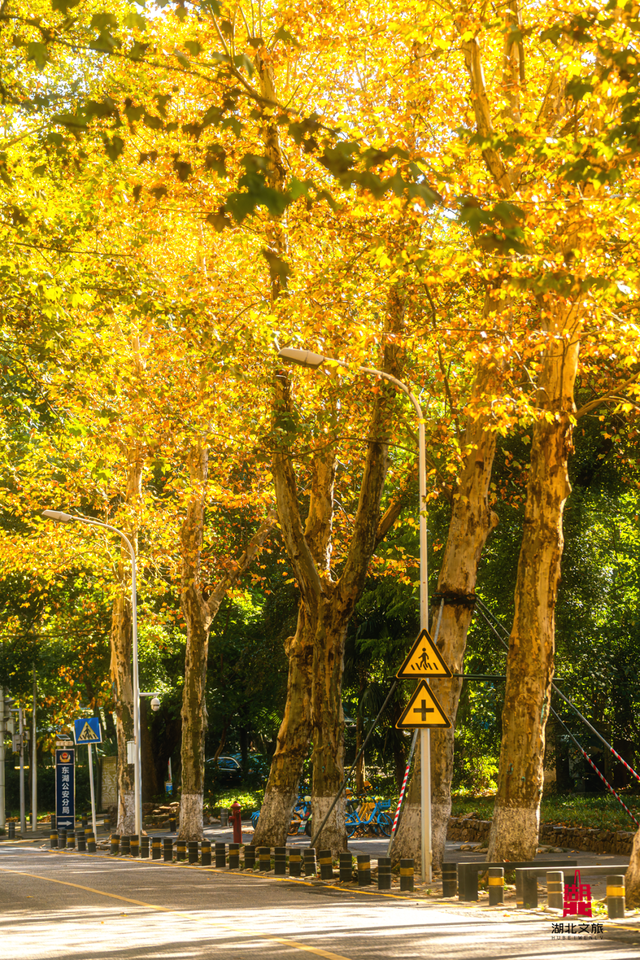 寒潮倒计时！再不来就迟了